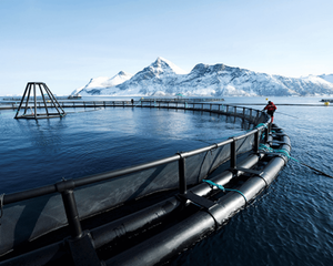 September 2021 Norway Marine Energy Storage System-176KWh Marine ESS-Projekt
